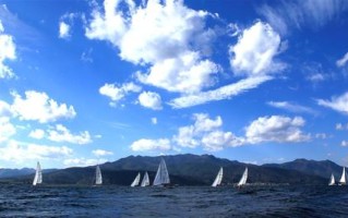 科技软件上市公司投资指南：轻松掌握高增长潜力与风险规避