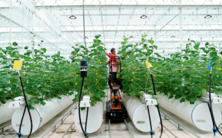 科技在农业生产中的应用：智能农业如何让种植更轻松高效