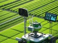 科技在农业发展中的例子：智慧农业如何让耕作更轻松高效