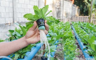 科技在农业方面的发展：智慧农业如何让种植更轻松高效