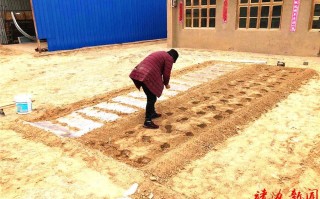 硬科技有哪些股票？投资指南助你轻松布局未来科技龙头