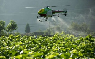 科技在农业生产中的作用：如何用无人机、物联网和生物技术让种地更轻松高效