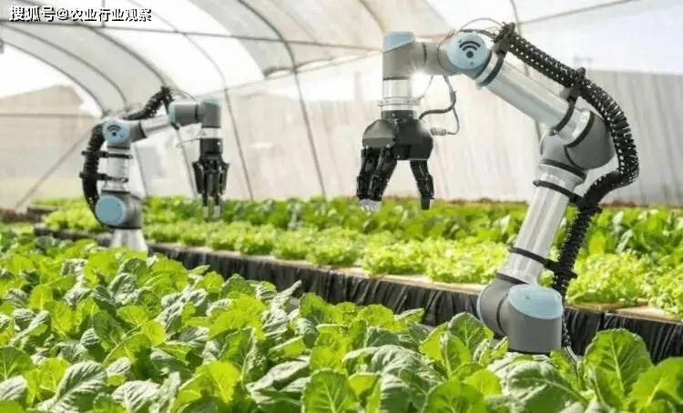 科技在农业中的应用实例：智能农业如何让种地更轻松高效-第2张图片-金科未来录