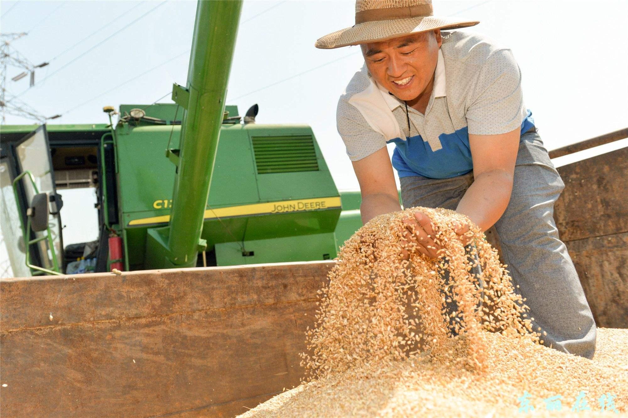 科技在农业中的应用实例：智能农业如何让种地更轻松高效-第3张图片-金科未来录