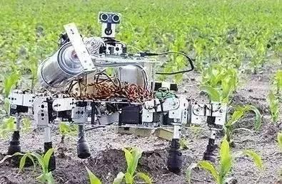 科技在农业中的作用小报：揭秘现代农业如何用智能科技让种地更轻松高效-第1张图片-金科未来录