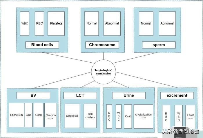 科技应用有哪些?从手机支付到AI医疗,这些实用科技让生活更便捷快乐-第1张图片-金科未来录 科技应用有哪些?从手机支付到AI医疗,这些实用科技让生活更便捷快乐-第1张图片-金科未来录