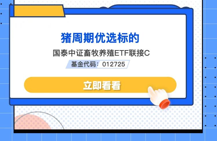 科技类的龙头股投资指南:如何识别高成长科技股并规避风险-第1张图片-金科未来录 科技类的龙头股投资指南:如何识别高成长科技股并规避风险-第1张图片-金科未来录