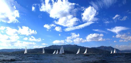 科技软件上市公司投资指南：轻松掌握高增长潜力与风险规避-第1张图片-金科未来录