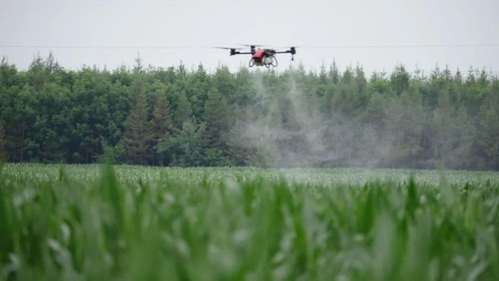 科技技术在农业生产中的应用:告别靠天吃饭,用智能灌溉、无人机监测轻松增产-第1张图片-金科未来录 科技技术在农业生产中的应用:告别靠天吃饭,用智能灌溉、无人机监测轻松增产-第1张图片-金科未来录