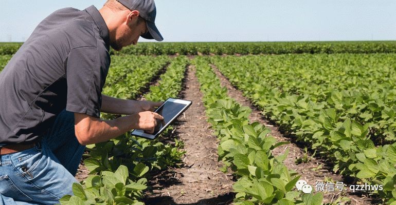 科技在我国农业生产中的应用:告别靠天吃饭,拥抱智慧农业新革命-第2张图片-金科未来录 科技在我国农业生产中的应用:告别靠天吃饭,拥抱智慧农业新革命-第2张图片-金科未来录