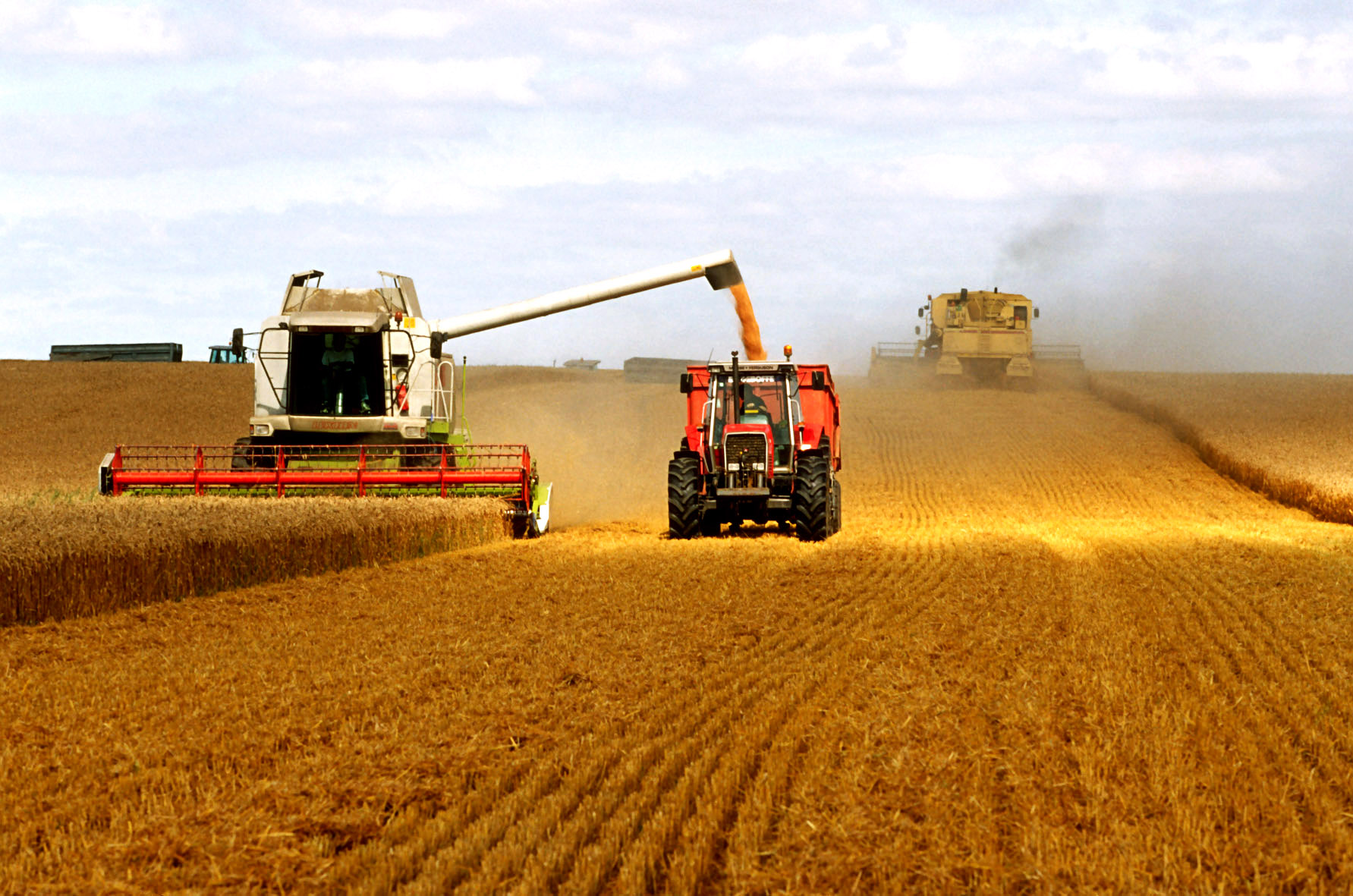 科技在我国农业生产中的应用:告别靠天吃饭,拥抱智慧农业新革命-第1张图片-金科未来录 科技在我国农业生产中的应用:告别靠天吃饭,拥抱智慧农业新革命-第1张图片-金科未来录